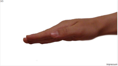 Schüttel Schere Stein Papier - Screenshot 4