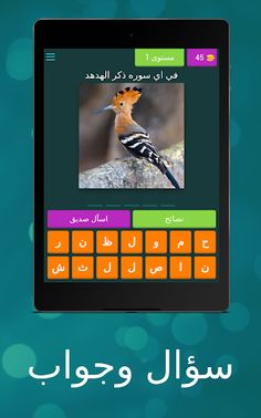 اسئلة واجوبة - Screenshot 4