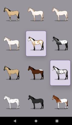 A Dozen Tiny Horses - Screenshot 2
