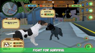 Cat & Dog Simulator - Screenshot 3