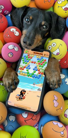 Crusoe Squeaky Ball Bubble POP - Screenshot 1