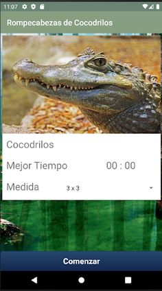 Rompecabezas de Cocodrilos - Screenshot 3
