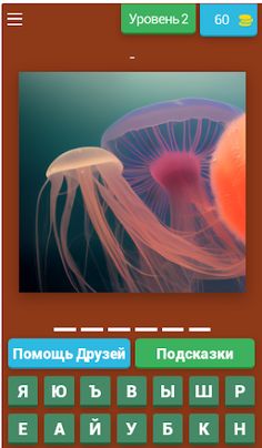 ZooQuizzy - Russian - Screenshot 3