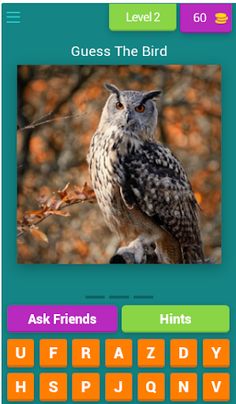 Guess The Animal Quiz - Screenshot 2