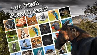 Memory Match - Jungle Animals - Screenshot 3