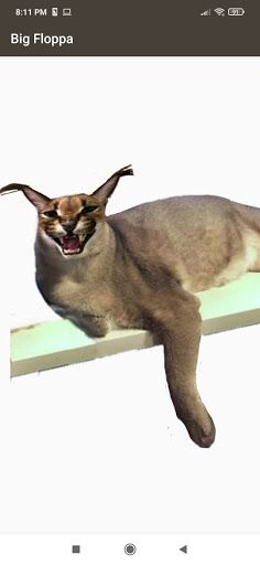 Big Floppa - Screenshot 1