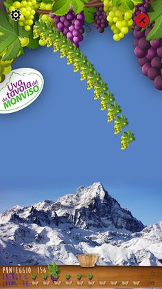 Raccogli Uva - Screenshot 3