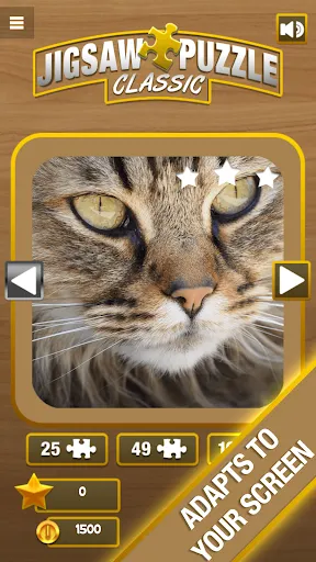 Jigsaw Puzzle - Screenshot 3