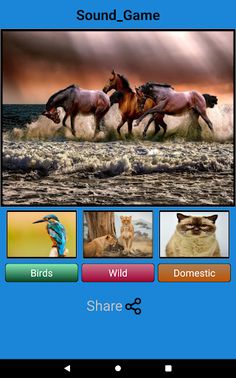 Sound_Game - Screenshot 4