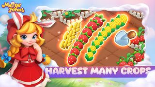 Merge Forest - Merge Games - Screenshot 3