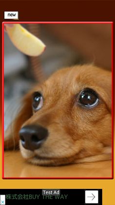 Shisen-Sho with Dog - Screenshot 4