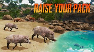 The Boar - Animal Simulator - Screenshot 1