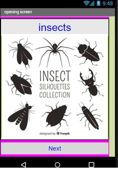Insect Quiz - Screenshot 2