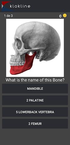 206 Human Bones Challenge - Screenshot 2