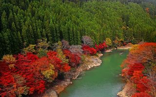 Autumn Puzzle - Screenshot 3