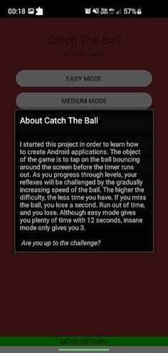 Catch The Ball - Screenshot 3