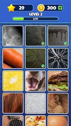 Guess it! Zoom Pic Trivia Game - Screenshot 3