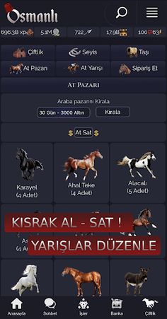 Osmanlı - Screenshot 4