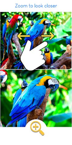 Find Differences: Brain Test - Screenshot 1