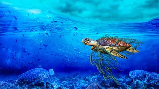 Ocean Cleanup 3D - Screenshot 3