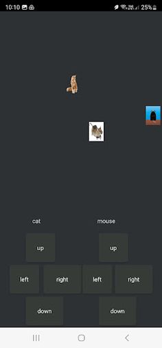Cat vs Mouse - Screenshot 1