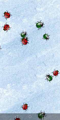 Crush Insects - Screenshot 3