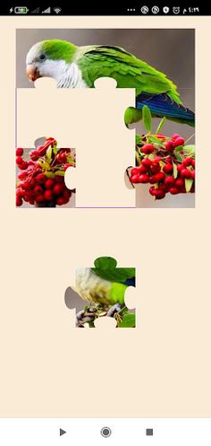 Jigsaw Puzzle - Screenshot 4