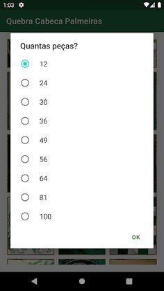 Palmeiras Jigsaw Puzzles - Screenshot 2