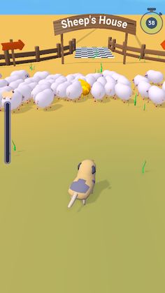 Sheep Dog 3D - Screenshot 1