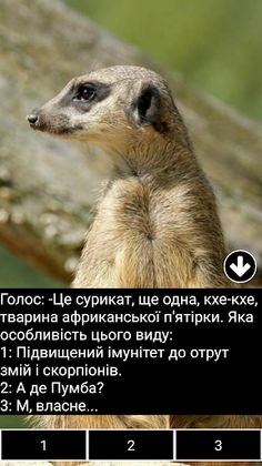 Хто ти, голосе? - Screenshot 1