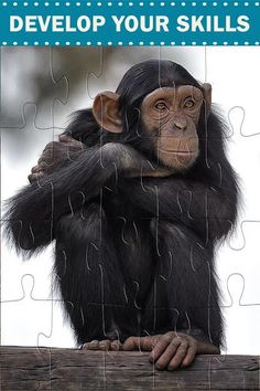 Wild Animals Jigsaw Puzzles - Screenshot 3