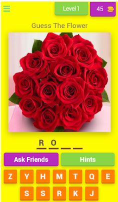 Brainy: Guess Image Quiz - Screenshot 1