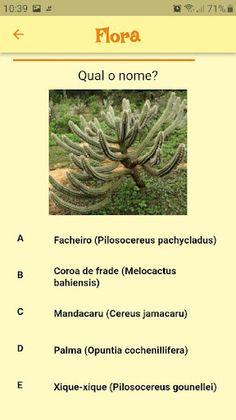 Caatinga Quiz - Screenshot 3