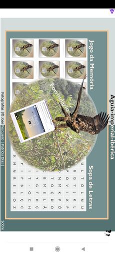 Águia-imperial-ibérica - Screenshot 2