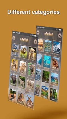 Swap Puzzle - Screenshot 3