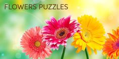 Flowers & Gardens Puzzles - Screenshot 4