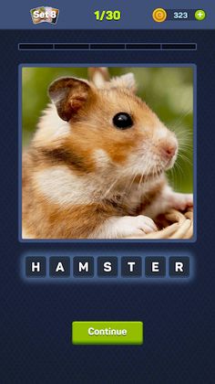 Clean the Picture - Screenshot 4