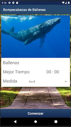 Rompecabezas de Ballenas - Screenshot 3