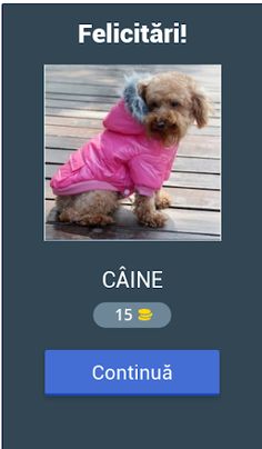 Ghicește obiectul - Screenshot 2