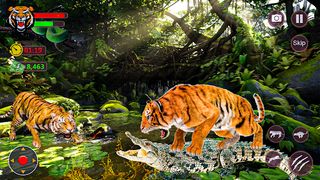 Tiger Games 3d Tiger Simulator - Screenshot 3