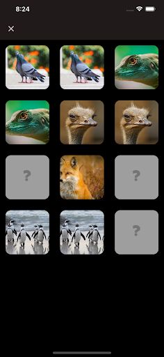 Brain Game - Remember image - Screenshot 3