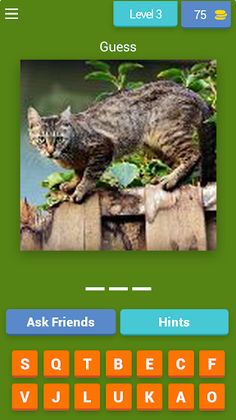 Jungle Jumble Word - Screenshot 3