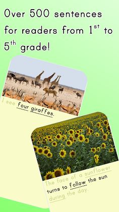 Chunky Sentences Variety Pack - Screenshot 3