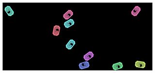 Beans - Screenshot 1