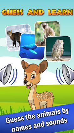 Guess animal sounds and names - Screenshot 4