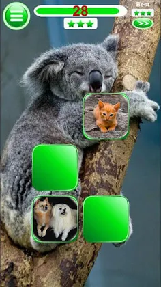 Memory Games - Damla Memory - Screenshot 2