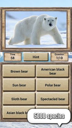 Animal Kingdom - Quiz Game - Screenshot 2