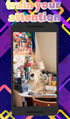 Find the Cat - Screenshot 2