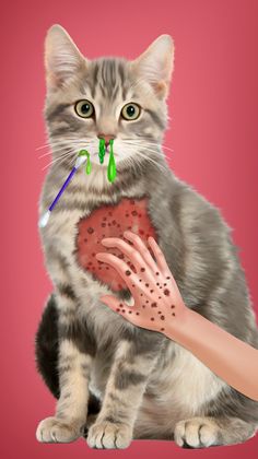 Virtual Cat ASMR Spa Makeover - Screenshot 4