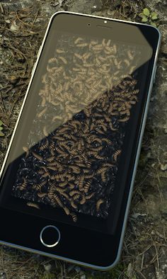 ASMR Maggots Triggers - Murmur - Screenshot 3